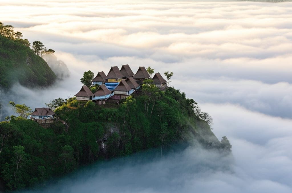 Membangun Desa Digital: Menuju Masa Depan Cerdas Masyarakat Pedesaan